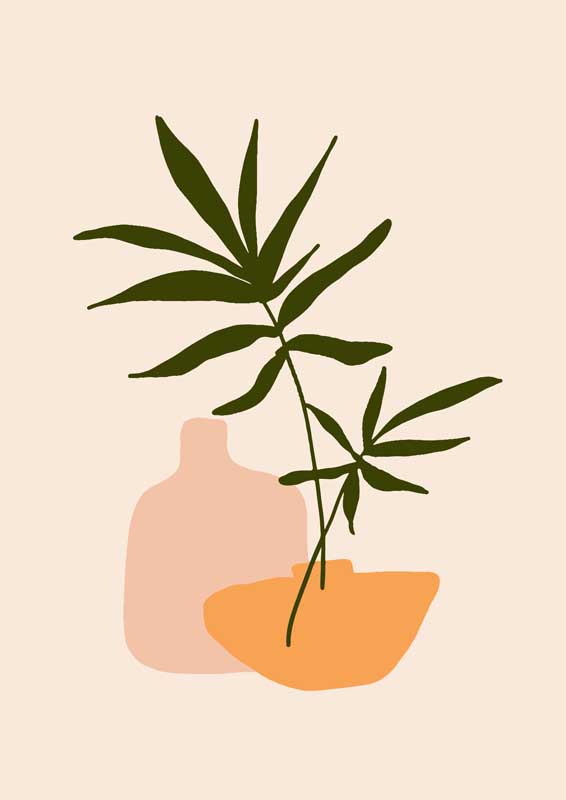 岛国在线观看青草